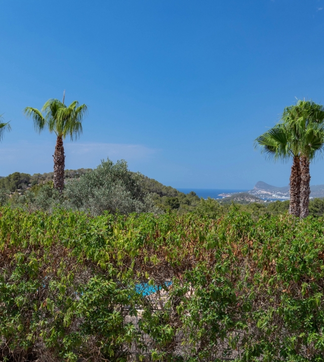 Resa Estates Ibiza te koop san Jose for sale 7 bedrooms apartment views.jpg